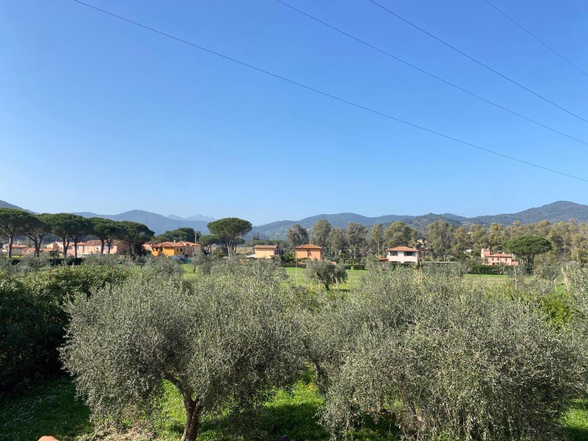 Residence Terme Isola D'Elba Srl Portoferraio Ngoại thất bức ảnh