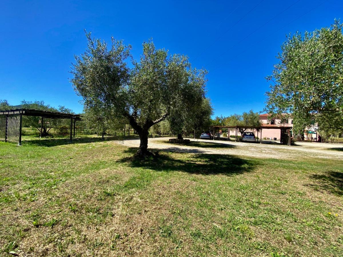 Residence Terme Isola D'Elba Srl Portoferraio Ngoại thất bức ảnh