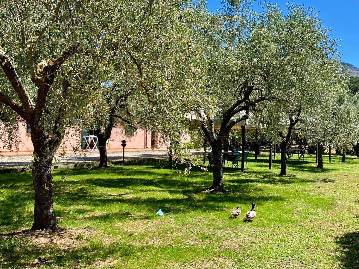 Residence Terme Isola D'Elba Srl Portoferraio Ngoại thất bức ảnh